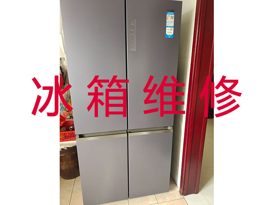天津电冰箱维修服务